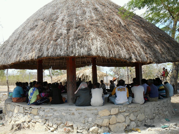 Komunitas adat Pubabu-Besipae sedang memeriksa bibit-bibit yang akan ditanam (Foto: Walhi NTT)