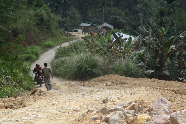 Jalan menuju Desa Bangka Leda, Kecamatan Borong (Foto: Yulianus Arrio/Floresa)