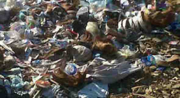 Sampah berserakan di kampung Komodo, Taman Nasinal Komodo (Foto:Sefry Jemandu)