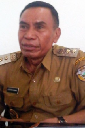 Wakil Bupati Ende, Djafar Ahmad
