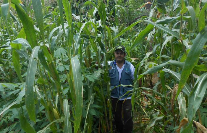Herry Naif dari Wahana Tani Mandiri berada di tengah-tengah kebun jagung milik Beatriks Rika. (Foto: Facebook Herry Naif)